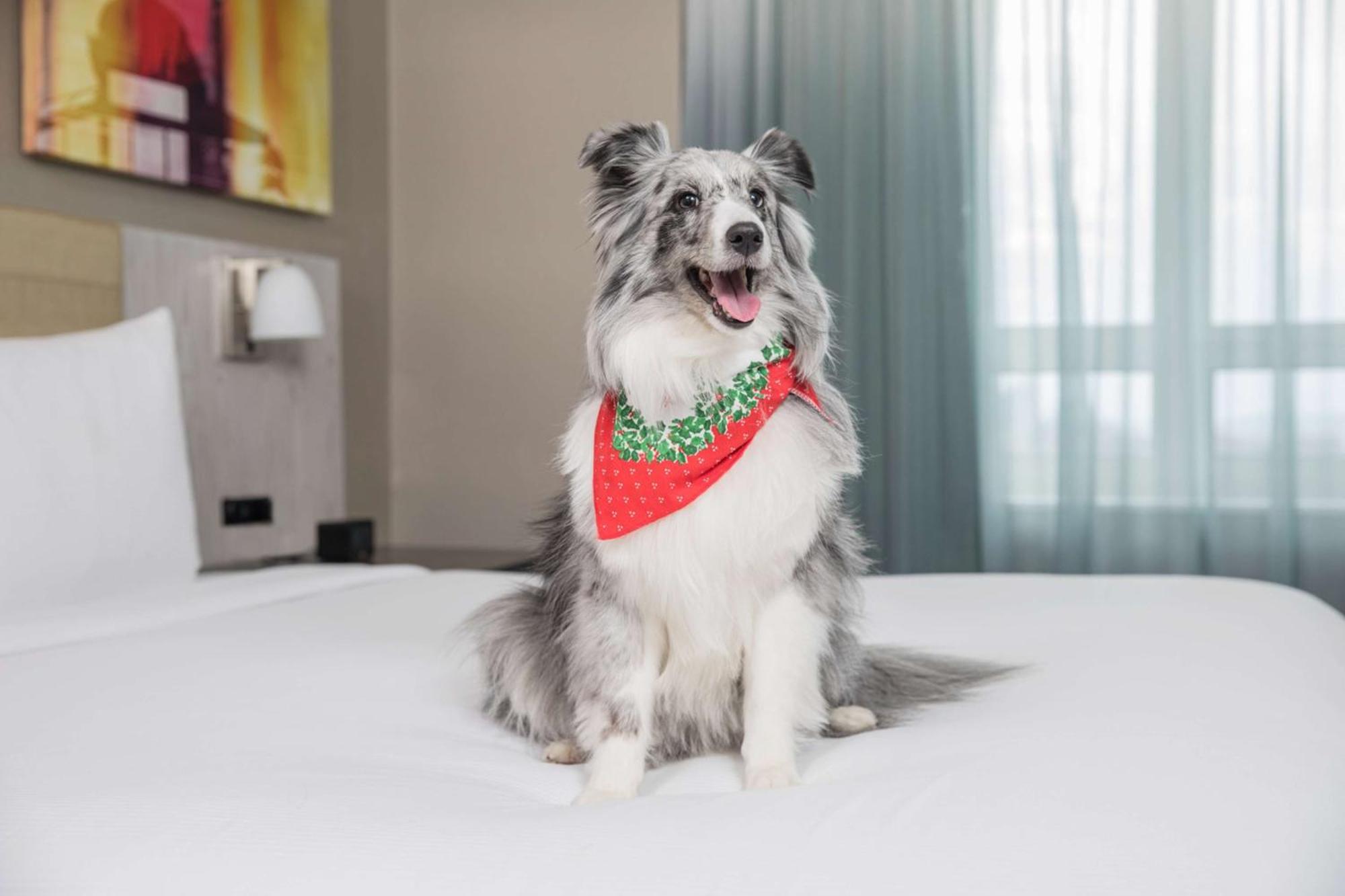 Hotel Doubletree By Hilton Times Square West Nueva York